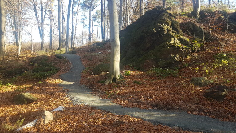 Singletrack pod Gromnikiem — Przeworno